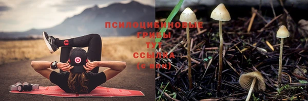 MESCALINE Дмитриев